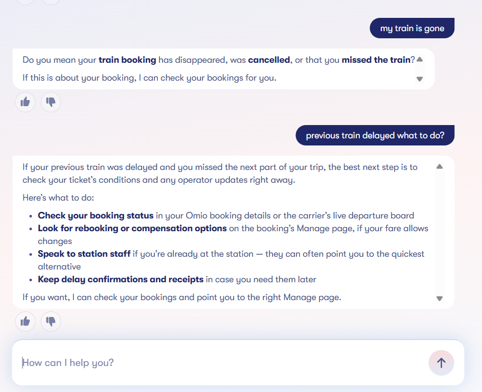 The chatbot asks the traveller to pick what they mean, then returns four generic bullet instructions